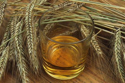 Glass of Scotch whisky