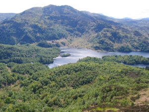 The Trossachs (photo by: Jan Zeschky)